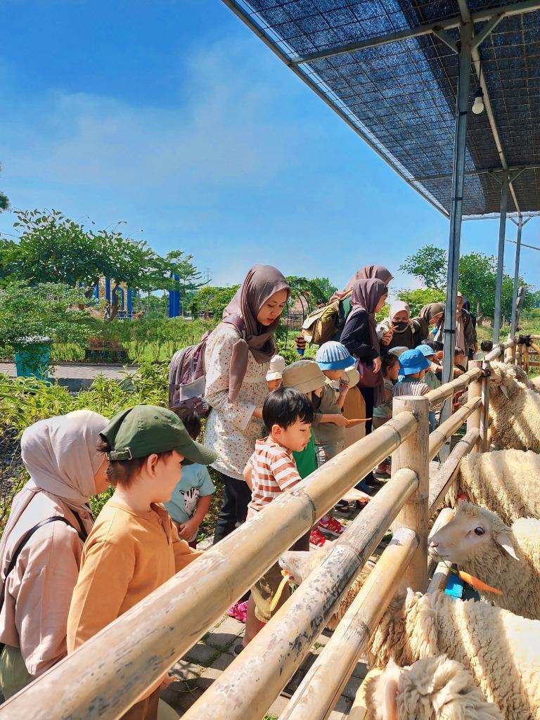 Kegiatan Anaktana